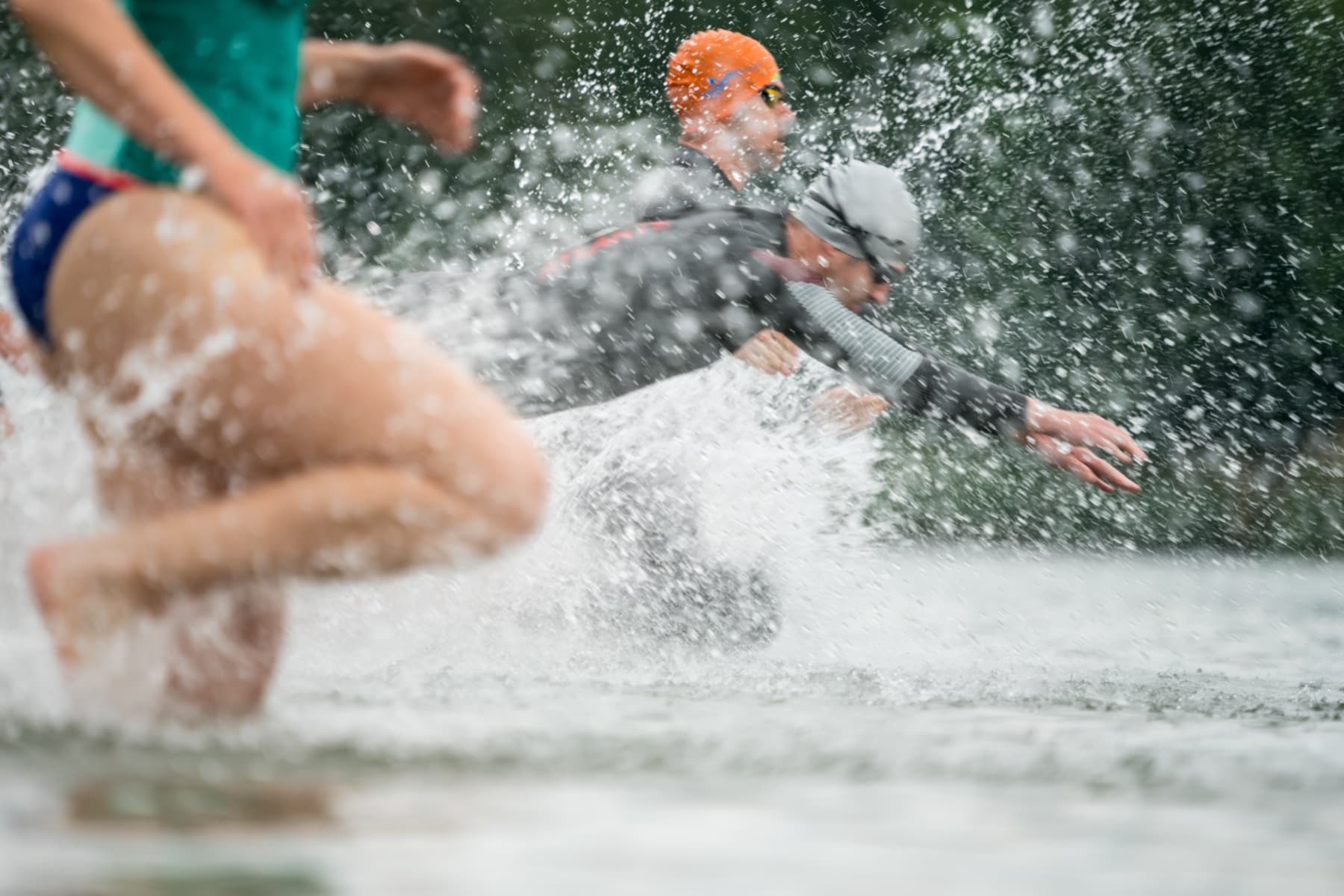 Swimmers entering the water at the start of an open-water race